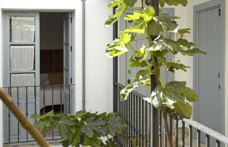 La Botica de Vejer Hotel Vejer de la Frontera Eksteriør billede